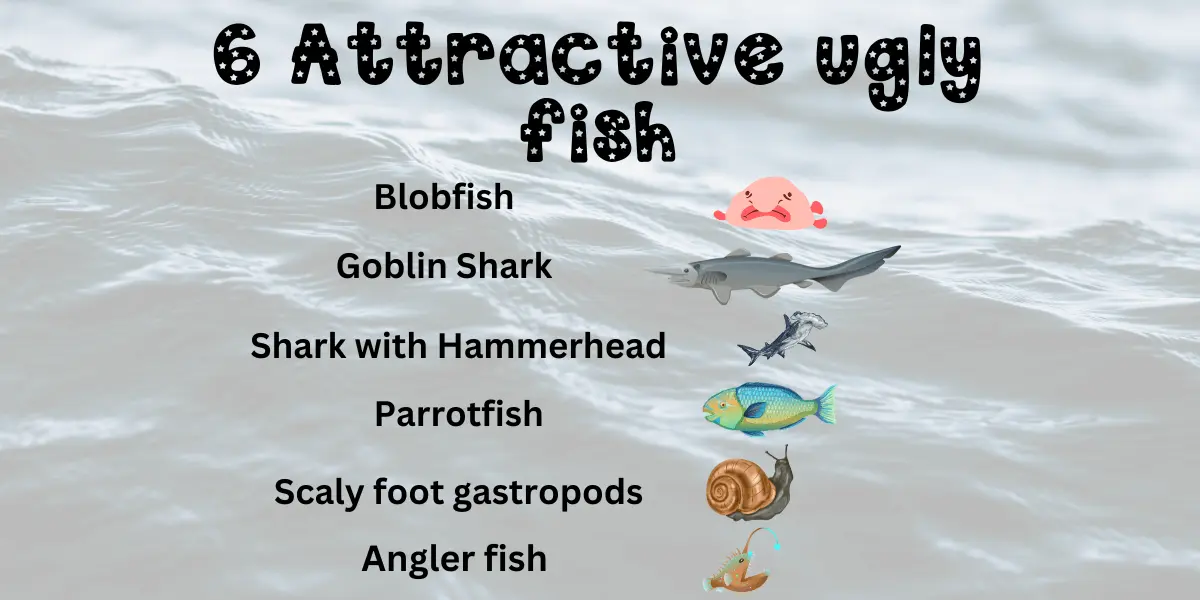 an image of 6 Attractive ugly fish