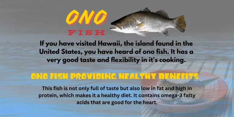 Ono fish