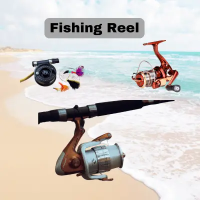 image of fishing reel
