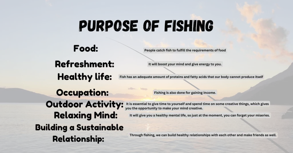 in this image, the purpose of fishing describes.